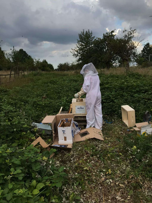 Imkern mit Hindernissen - aber Hindernisse kann man überwinden Bild 6