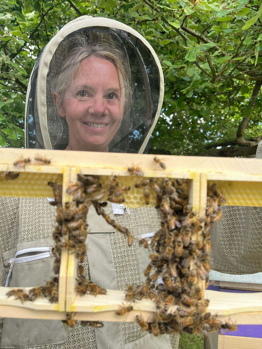 đ MonatsrĂŒckblick Mai â Verifino-Bienen im Hochbetrieb Bild 1