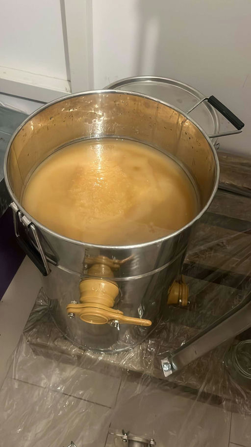 đ MonatsrĂŒckblick Mai â Verifino-Bienen im Hochbetrieb Bild 2