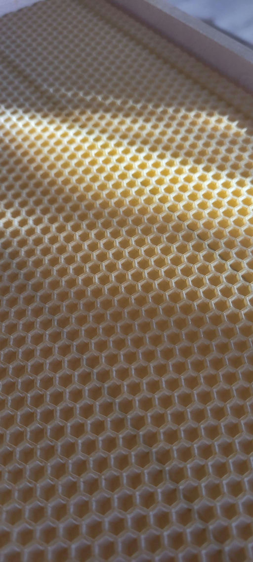 Vorbereitung im Januar Bild 1