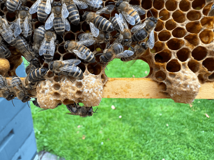 April, April, der macht was er will ...