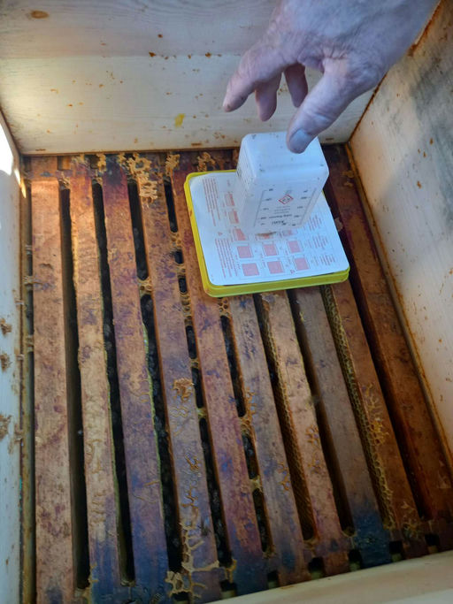 Einsatz für ein gesundes Bienenvolk Bild 1