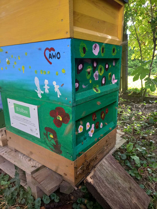 Einsatz für ein gesundes Bienenvolk Bild 2