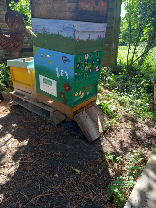 Frühjahrserwachen im Bienenstock