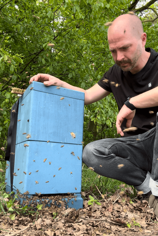 Die Schwarmsaison beginnt
