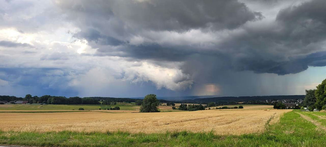 Das neue Bienenjahr beginnt