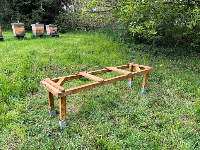 Der Startschuss in den Frühling! Bild 1