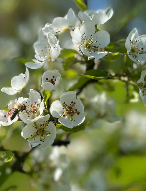 Der Startschuss in den Frühling! Bild 3