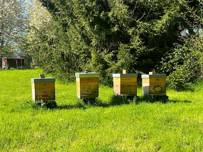 Der Startschuss in den Frühling! Bild 4