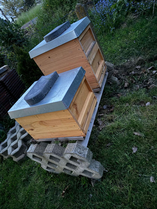 Der Mai startet vielversprechend