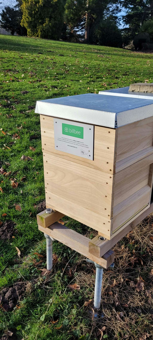 Beuten gut aufstellen