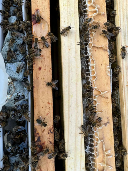 Wintervorbereitungen im August