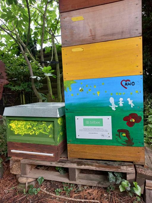 Wir freuen uns über Bienen- Zuwachs