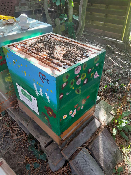 Herbstzeit in den Bienenstöcken