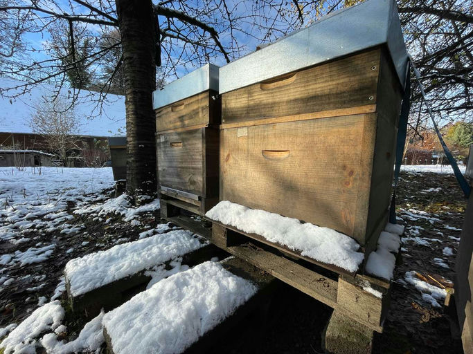 Pause im Winterwunderland