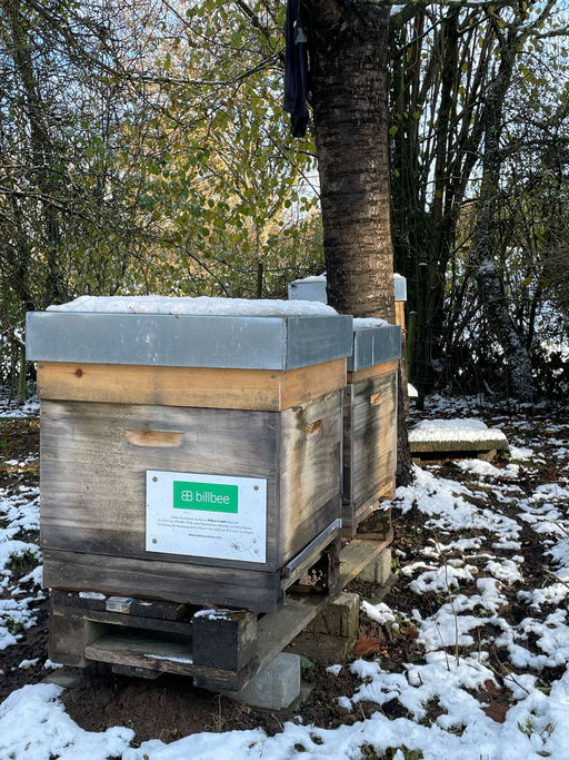 Pause im Winterwunderland