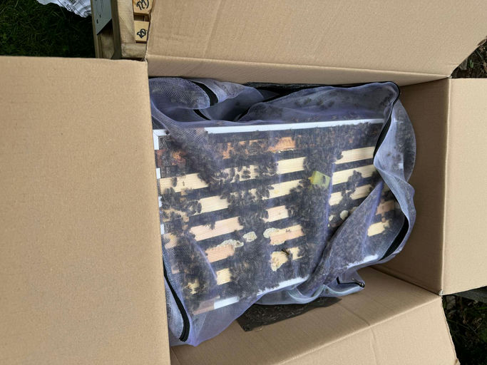 Billbee´s sind eingetroffen