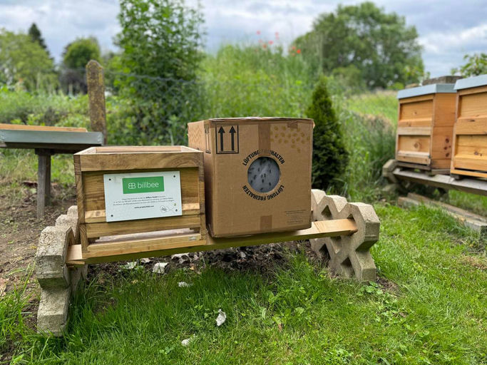 Billbee´s sind eingetroffen