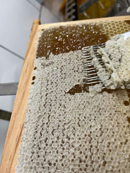 Honig über Honig! Bild 2