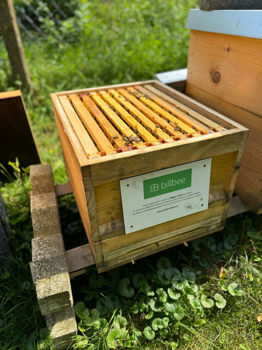 Im Sommer für den Winter