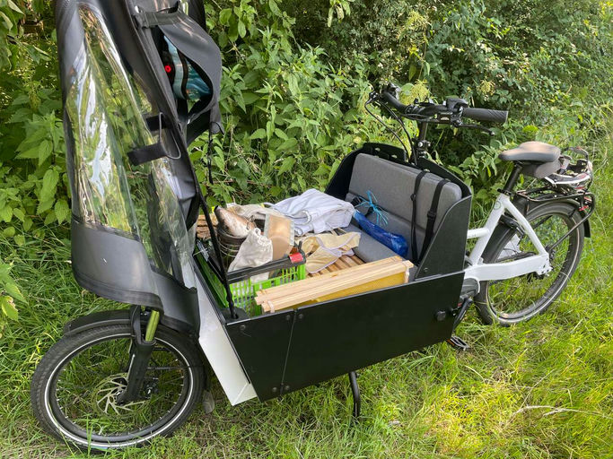 Die Bienen und der Klimawandel Bild 2