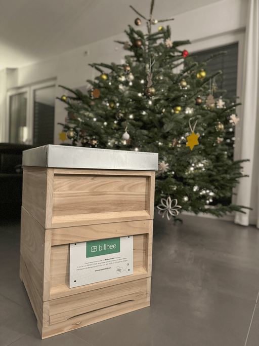 Vorweihnachtliche Bescherung 🎄