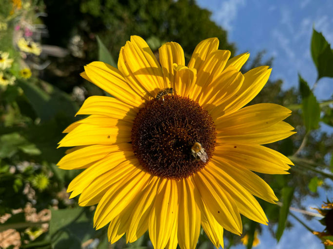 Im Sommer beginnt der Winter