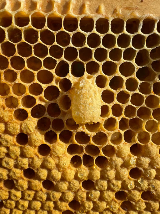 Der Mai der macht was er will