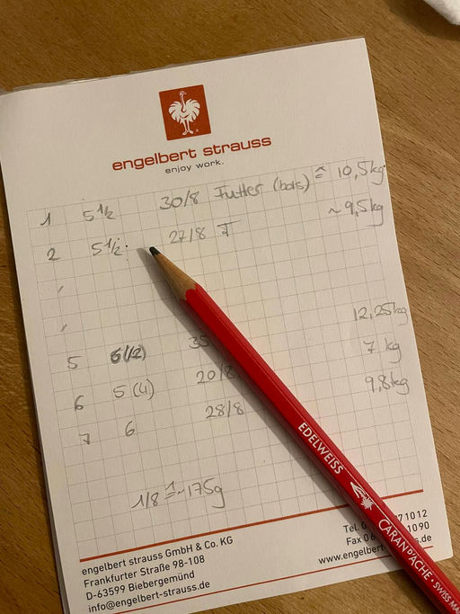 Mathe mit den Bienen Bild 2