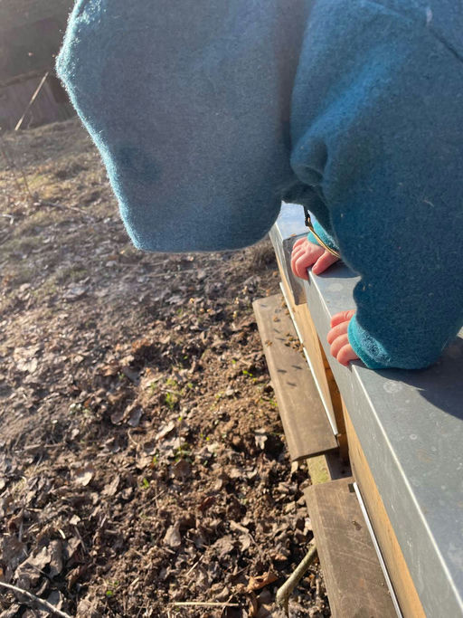 Kuckuck! Ist da jemand?