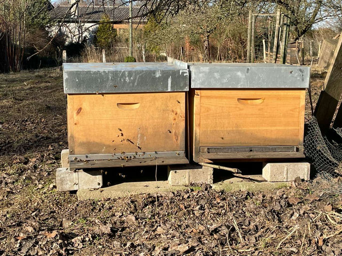 Kuckuck! Ist da jemand? Bild 1