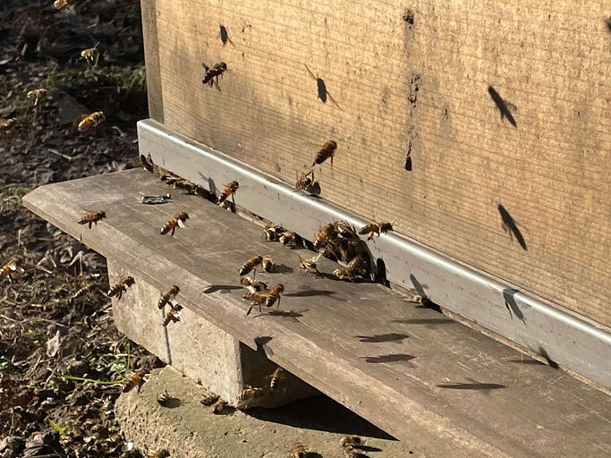 Kuckuck! Ist da jemand? Bild 2