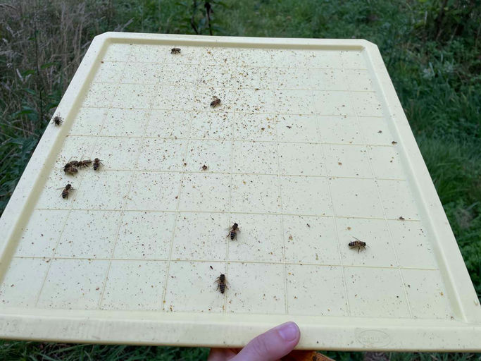 Satt ist nur die halbe Miete