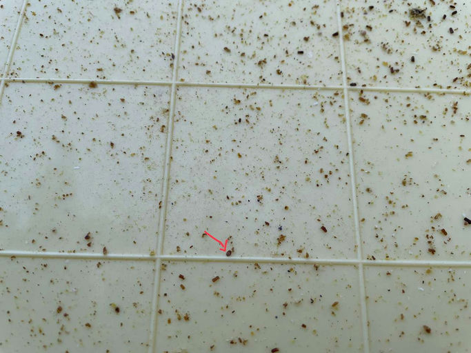 Satt ist nur die halbe Miete