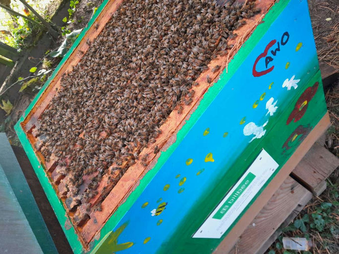 Vorbereitung auf winterliche Temperaturen Bild 8