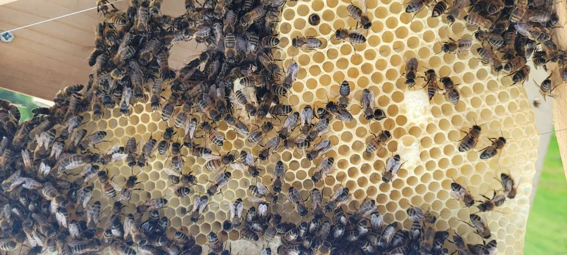 Der April macht was er will!