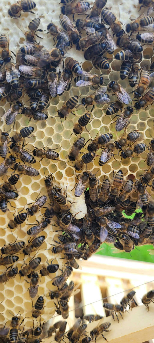 Der April macht was er will!