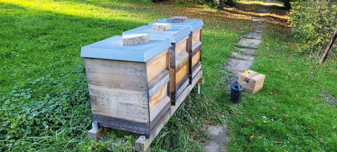 Alle versorgt und nun in den Winter