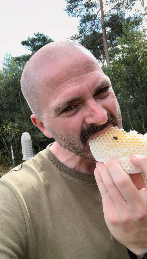 Letzte Sonnenstrahlen für die Billbee Bienen Bild 1