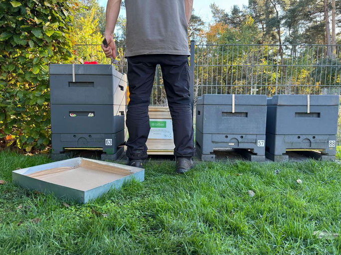 Abschied von den Billbee-Bienen