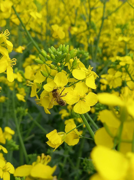 Ein Ort mitten in der Natur...