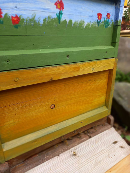 Ein Ort mitten in der Natur... Bild 1