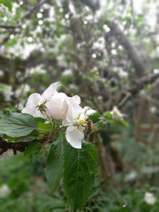 Ein Ort mitten in der Natur... Bild 2