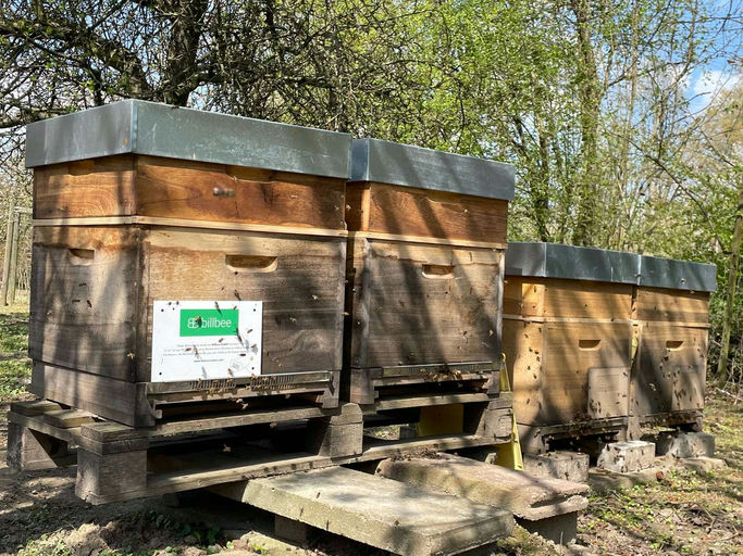 Gut Ding will Weile haben Bild 2