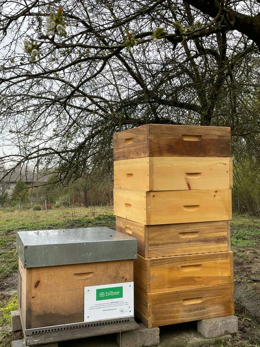 Gut Ding will Weile haben Bild 4