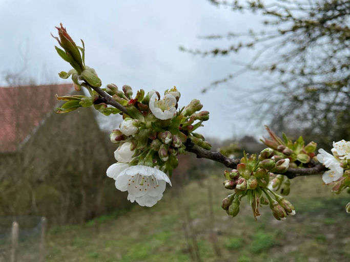 Gut Ding will Weile haben Bild 5