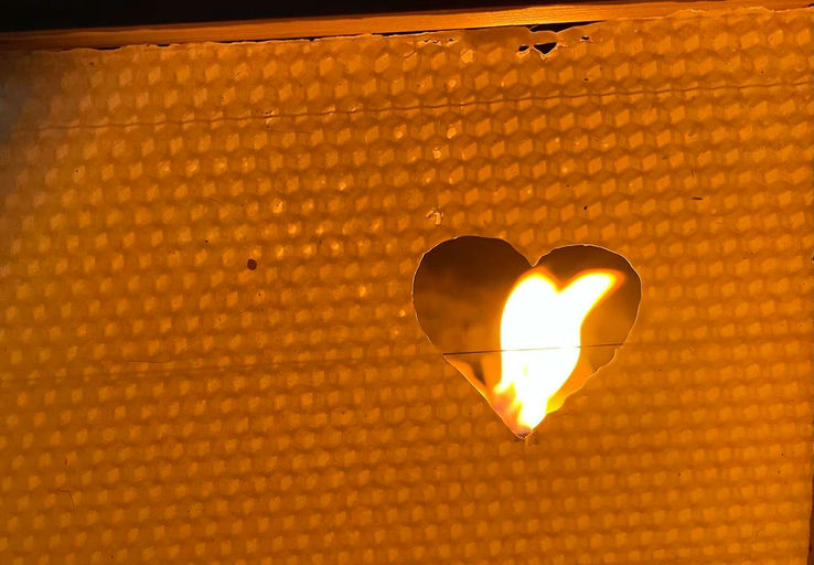 Ode an das Bienenwachs