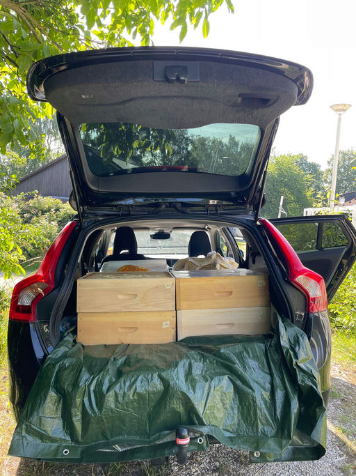 Bunter Sommer Bild 1