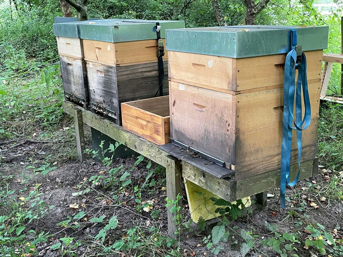 Bunter Sommer Bild 3