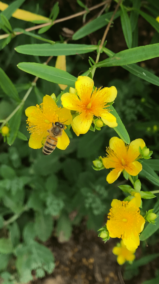 Und plötzlich ist er da... Bild 4